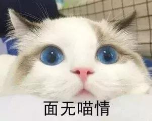 安静的吃瓜路人,路生人生