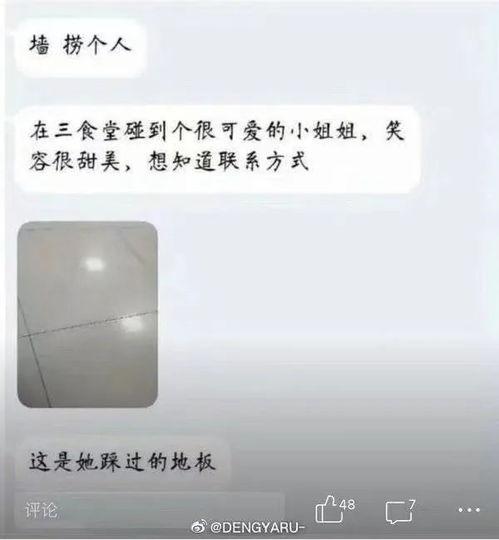 河美表白墙吃瓜,一场校园里的甜蜜瓜田盛宴