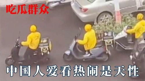 吃瓜不分物种,物种界限不再，共享欢乐时光
