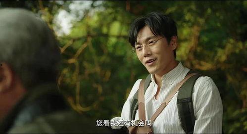 带你吃瓜野先生,揭秘娱乐圈幕后趣闻