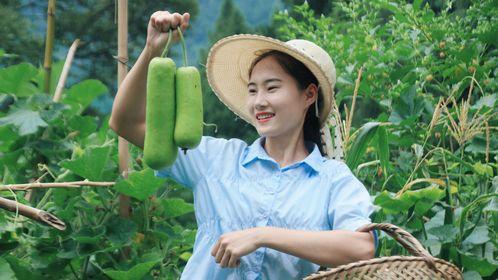 阿博吃瓜,揭秘娱乐圈背后的那些事儿