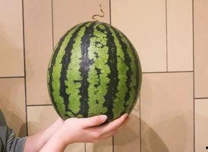 广州投行吃瓜,揭秘行业“吃瓜”背后的真相