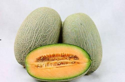 新疆吃的哈密瓜,甜蜜诱惑，丝路佳果的传奇之旅