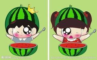 情侣开箱吃瓜,情侣共享美味瓜果时光