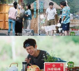 吃瓜小熊陈都灵,吃瓜小熊的娱乐圈奇遇记